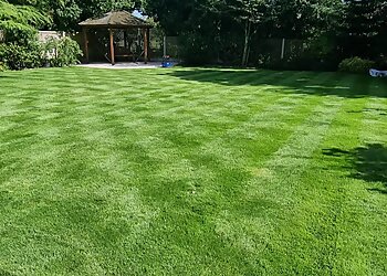 Premier League Lawn Scapes