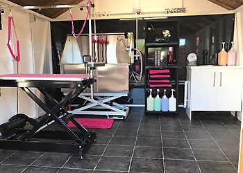 Pretty PAWfect Pet Styling