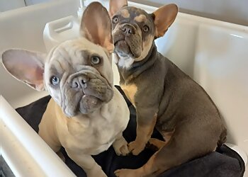 Pretty Paws Dog Grooming