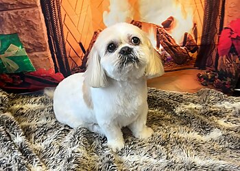 Pretty Pooch Dog Grooming Salon