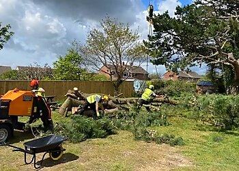 Primary Tree Care Ltd.