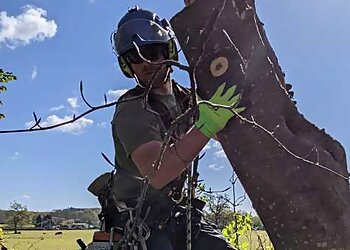 Primary Tree Care Ltd.