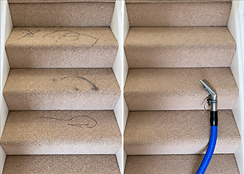 Primokleen Professional Carpet Cleaning