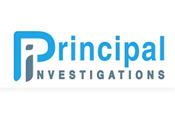 Sunderland private investigators Principal Investigations image 1