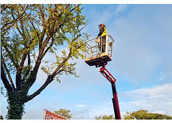 ProArb Tree Services