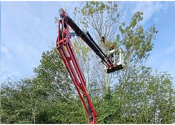 ProArb Tree Services