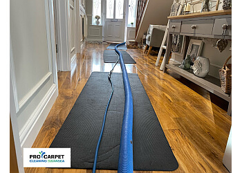 Pro Carpet Cleaning Swansea