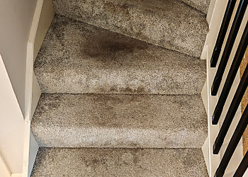 Pro Carpet Solutions Ltd