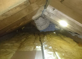 Pro Control Pest Control Services