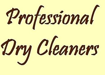 Professional Dry Cleaners
