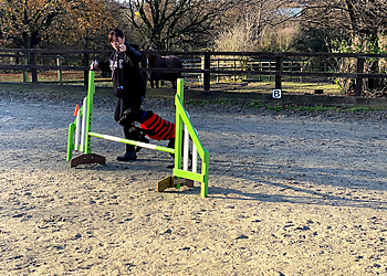 Progress Dog Training