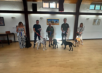 Progress Dog Training