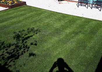 Prolawn Professional Lawncare