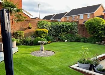 Prolawn Professional Lawncare