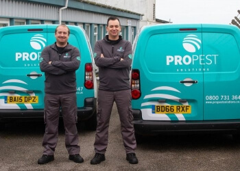 Propest Solutions Propest Solutions