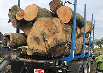 Ptree Surgery & Groundworks