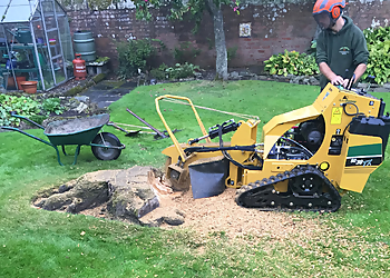 Ptree Surgery & Groundworks Ptree Surgery & Groundworks