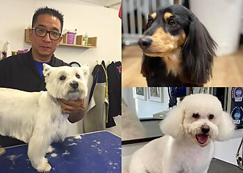 Puggles Bath & Groom Ltd