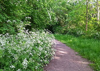 Pugneys Country Park