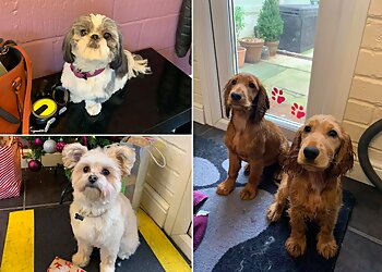 Pugs & Kisses Professional Dog Grooming Salon