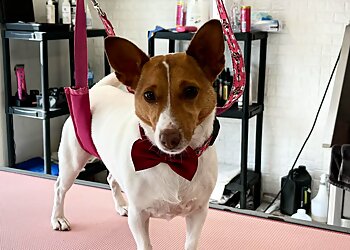 Puppy Love Dog Parlour