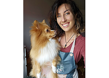 Puppy Paradise  Puppy Paradise