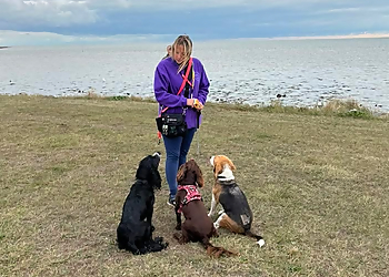 Pups & Ponies Pet Services