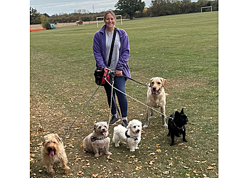 Pups & Ponies Pet Services