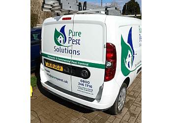 Pure Pest Solutions