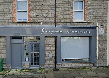 Vale Of Glamorgan chiropractors Purpose Chiropractic image 1