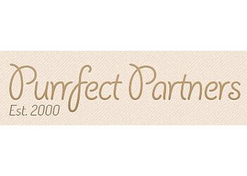 Purrfect Partners