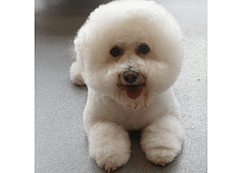 Purrfect Pooches Ltd.