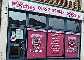 Dartford pet grooming Purrfect Pooches Ltd. image 1