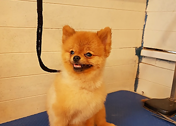 Purrfect and Pooch Ltd