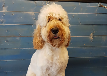 Purrfect and Pooch Ltd