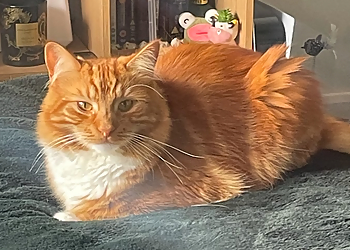 Purrfect and Pooch Ltd