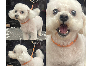 Purrfect Pets Dog Grooming Parlour