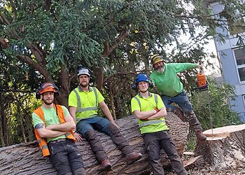 Qualitree Services Ltd