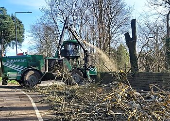 Qualitree Services Ltd