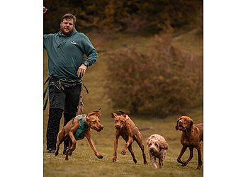 Quality Chops Pet Services