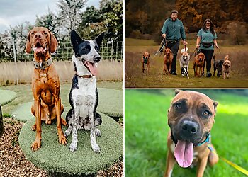 Quality Chops Pet Services