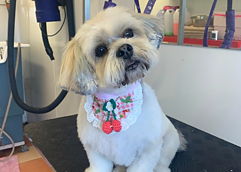 Quintessential Quarters