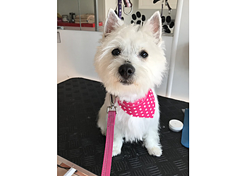 Quintessential Quarters