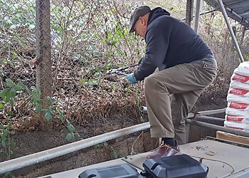 RBB Environmental & Pest Control