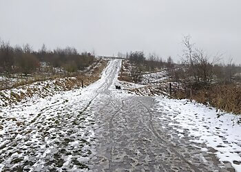 Rabbit Ings Country Park