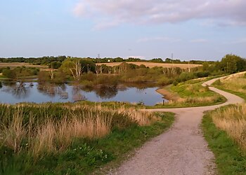 Rabbit Ings Country Park