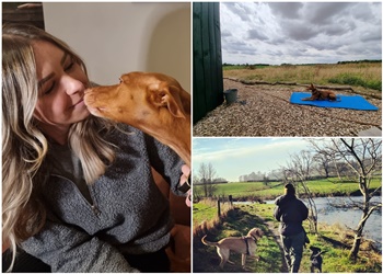 Rachael Claire Dog Behaviour