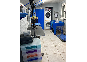 Rachael's Dog Grooming