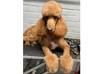 Rachael's Dog Grooming