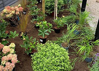 Rachel Goozee Garden & Planting Design